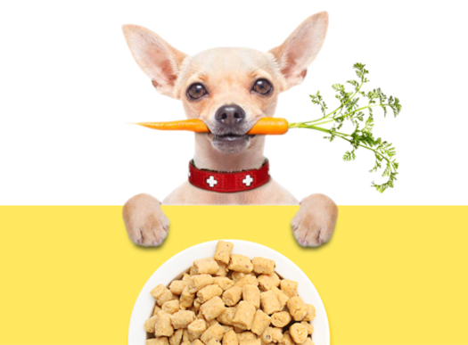 pet food packaging 1