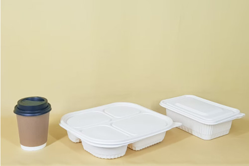 lunchbox packed in plastic